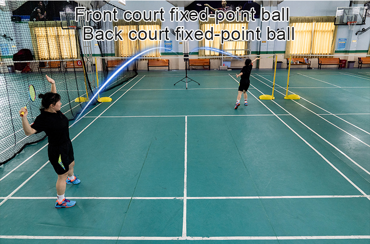 Fixed-point ball training